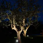 Trulli Di V E N E R E