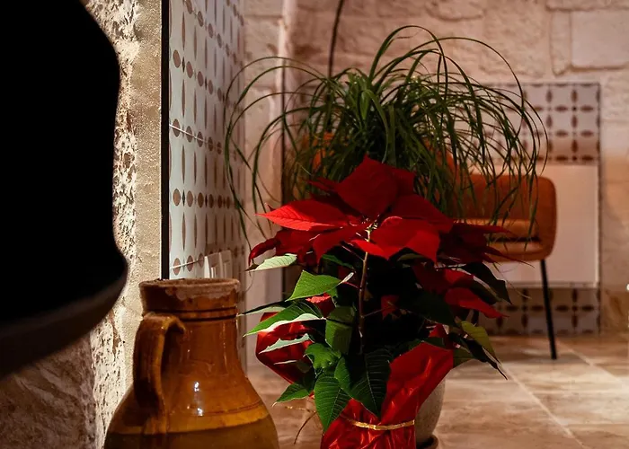 Maison d'hôtes Trulli Di V E N E R E *