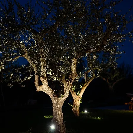 Trulli Di V E N E R E