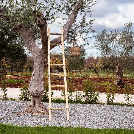 Trulli Di V E N E R E