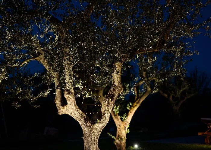 Trulli Di V E N E R E