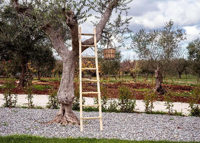 Trulli Di V E N E R E